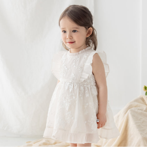 Cotton Thread Lace Embroidered Princess Gown