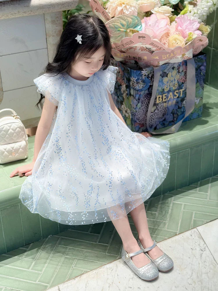 Amazing Elegant Princess Dress for Girls