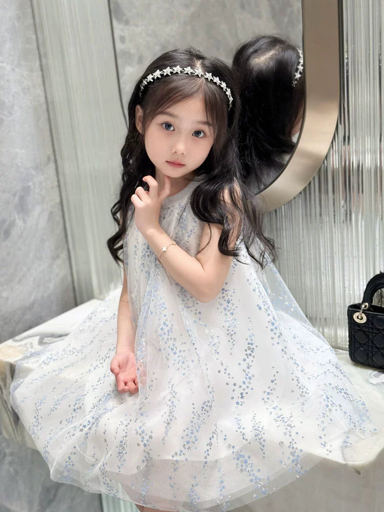 Amazing Elegant Princess Dress for Girls