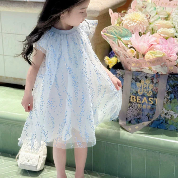 Amazing Elegant Princess Dress for Girls